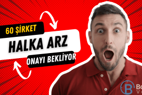halka arz onayı