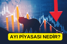 AYI PİYASASI NEDİR