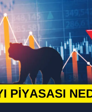 AYI PİYASASI NEDİR