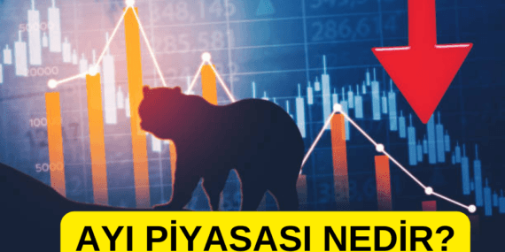 Ayı piyasası nedir? BİST ayı piyasasına mı girdi?