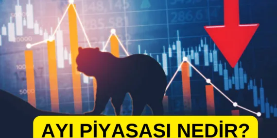 Ayı piyasası nedir? BİST ayı piyasasına mı girdi?