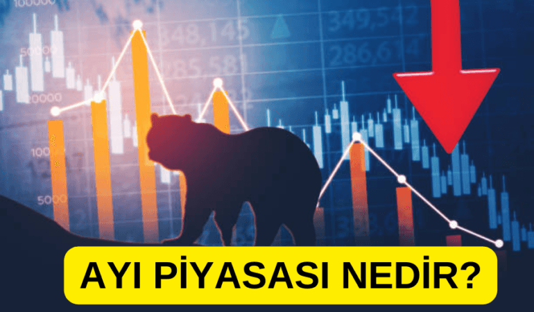 AYI PİYASASI NEDİR