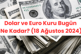 Dolar ve Euro Kuru Bugün Ne Kadar (18 Ağustos 2024)