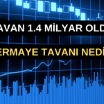 SERMAYE TAVANI NEDİR