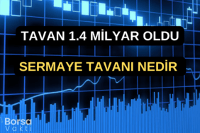 SERMAYE TAVANI NEDİR