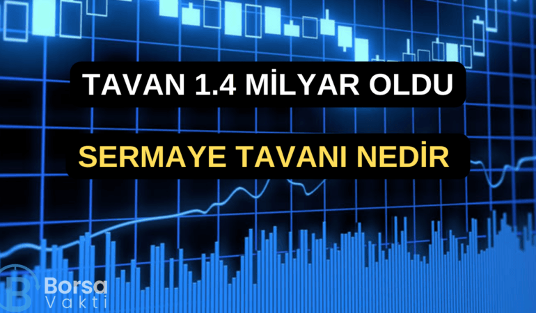 SERMAYE TAVANI NEDİR